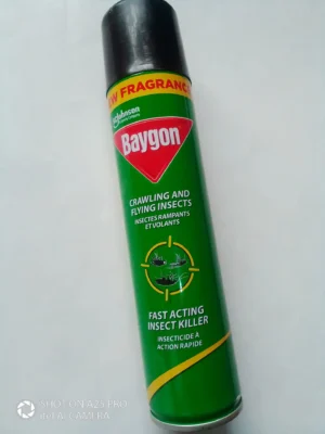 Baygon 300ml