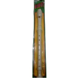 Recorder Flute